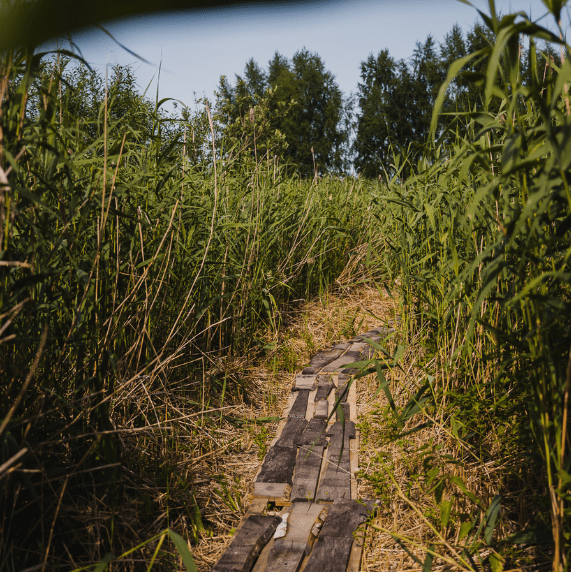 Sensory trail at the Remesi recreation area