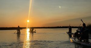 Sunset trip with SUP boards SUP board rental at Lake Babīte