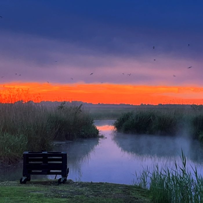 Skaisti saulrieti pie dabas atpūtas vietā Remeši