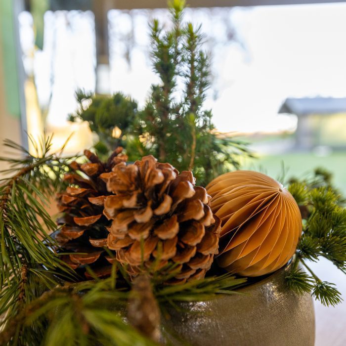 holiday homes with beautiful dishes and pine cones in them