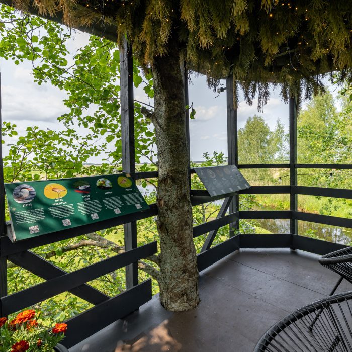 Babītes ezers, stilīga vieta, Putnu vērošana Babītes ezerā, atpūtas vieta Pierīgā