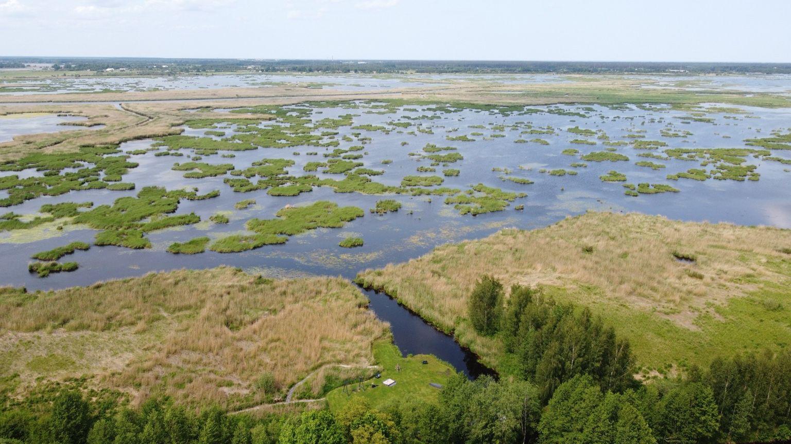 Ko darīt pie Babītes ezera — apskates objekti un aktivitātes ap Remešiem