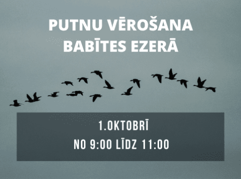 Bird Days 2023